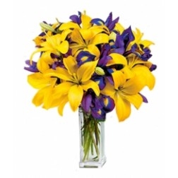 Express your love with Flowers