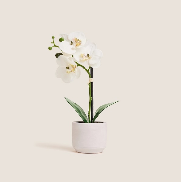 Artificial Small Orchid in Ceramic Pot