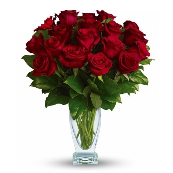 18 Red Roses Bouquet