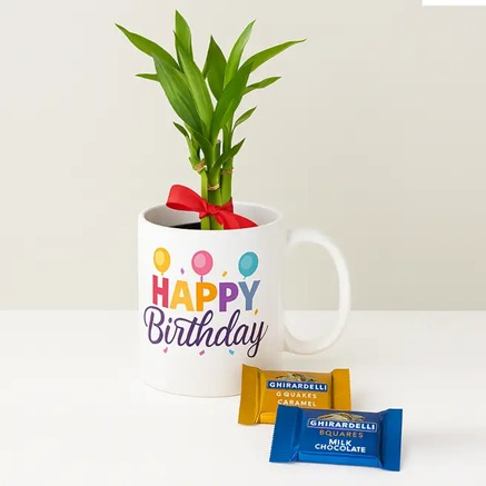 Birthday Mug Plant Combo