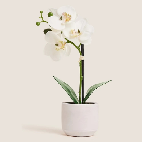 Artificial Small Orchid in Ceramic Pot