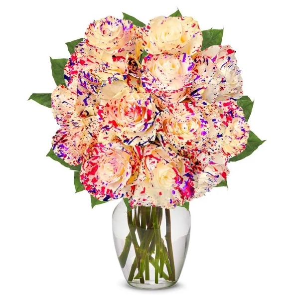 One Dozen Wild Confetti Roses