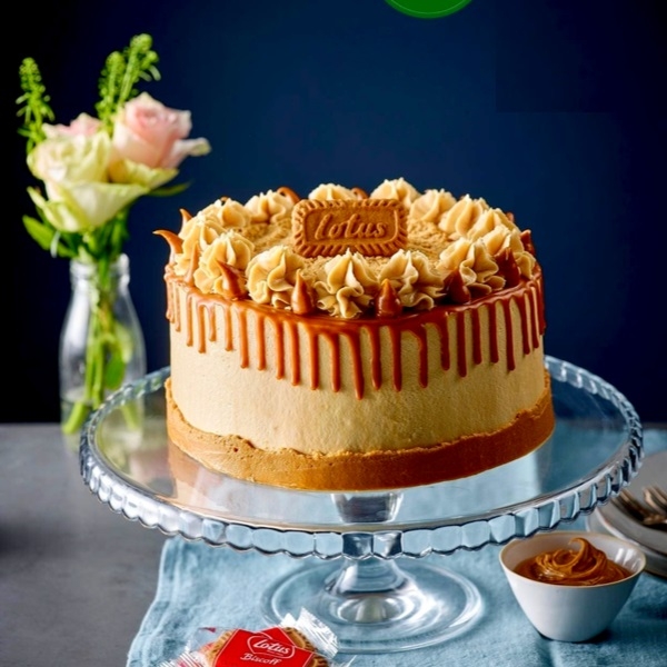 Lotus Biscoff Cake