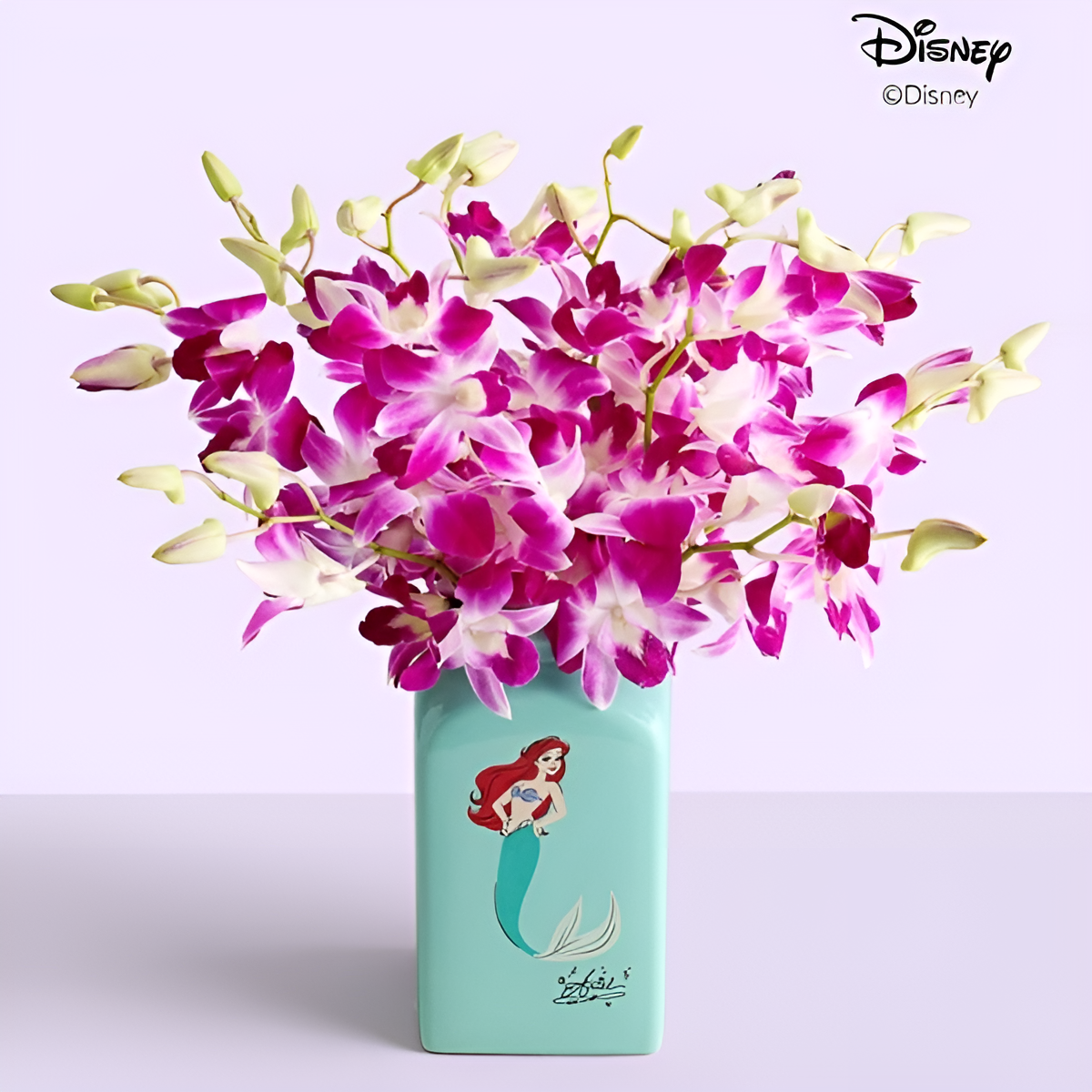 Ariel Ocean Splash Orchids
