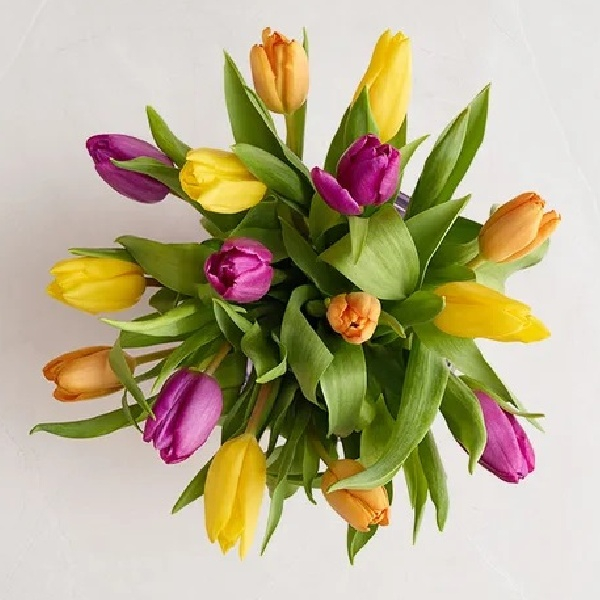 Assorted Tulip Bouquet