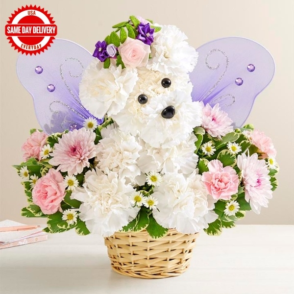 It’s a-DOG-able Boy