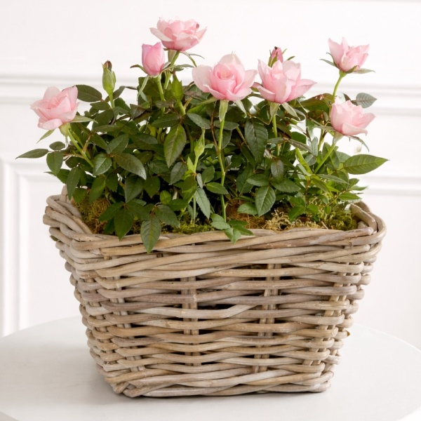 Mums Luxury Rose Basket
