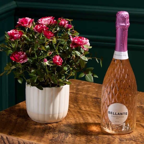 Blooming Brilliant Gift Selection