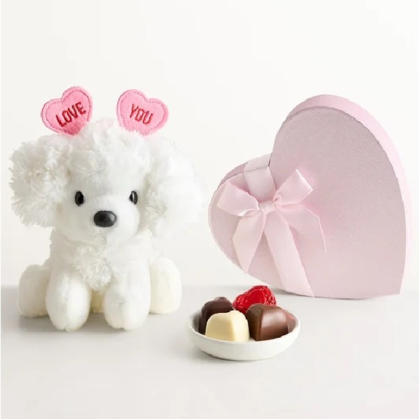 Love Sweet Puppy with Chocolate