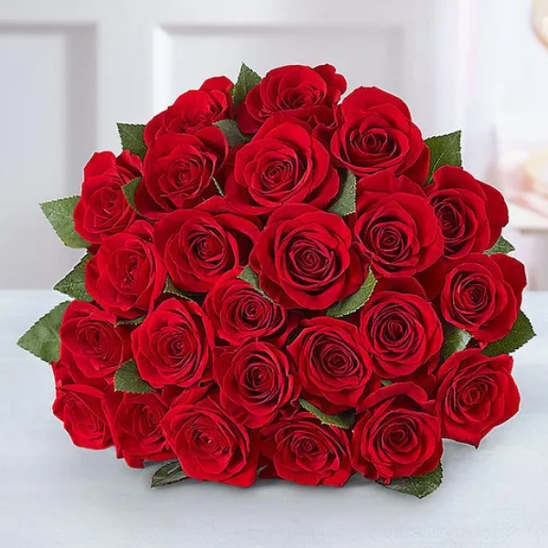 24 Red roses