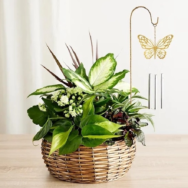 Butterfly Chime Dish Garden