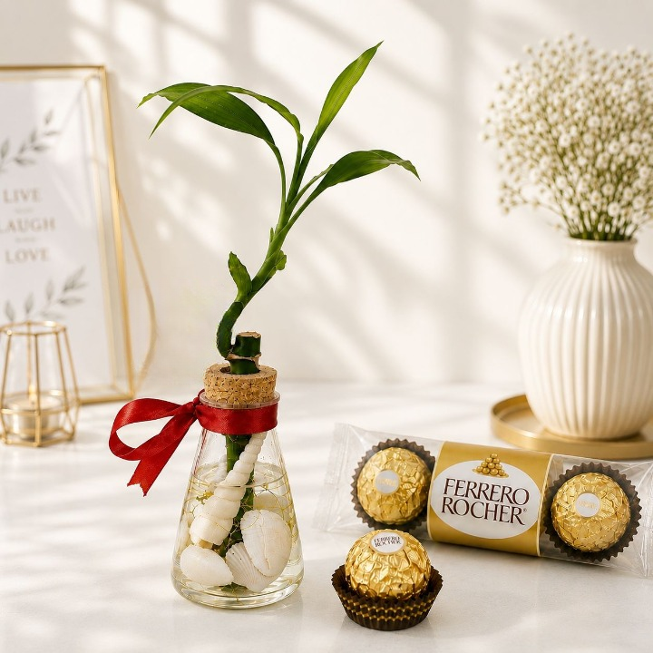 Bamboo Ferrero Mini Gift