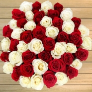 50 Red & White Roses