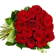 Premium red roses