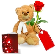 Teddy, Rose & Card Special