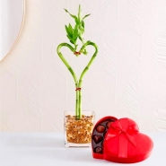 Sweet Heart Bamboo with Chocolate