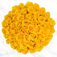 50 Yellow Roses