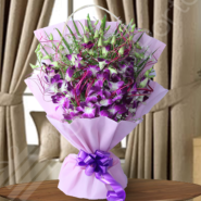 Splendid Orchids