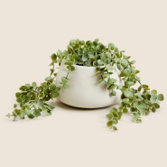 Artificial String of Pearls in Ceramic Pot