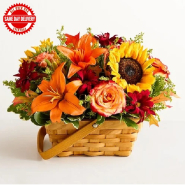 Fields of Europe Basket