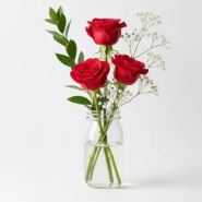 3 Red Roses