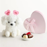 Love Sweet Puppy with Chocolate