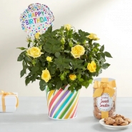 Happy Birthday Plush Bundle