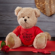 I Love You Beary Much Personalized Teddy Bear