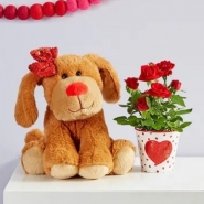 Lovable Pup Rose Plant