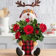 Red Rose Reindeer