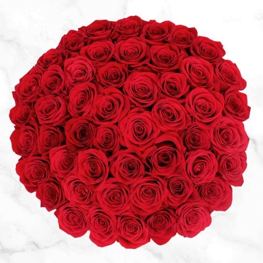  Lovely N Romantic 50 Red Roses