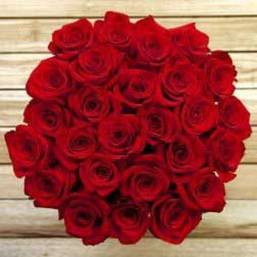 50 Roses - Love Garden -test