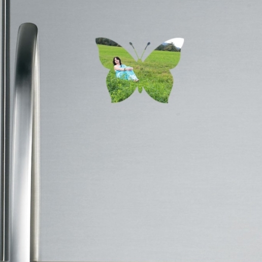 Butterfly Shaped Fridge Magnet