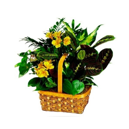 Yellow Blooming Planter Basket