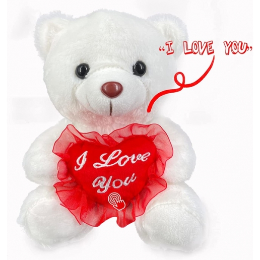 Valentines Day Talking Teddy Bear