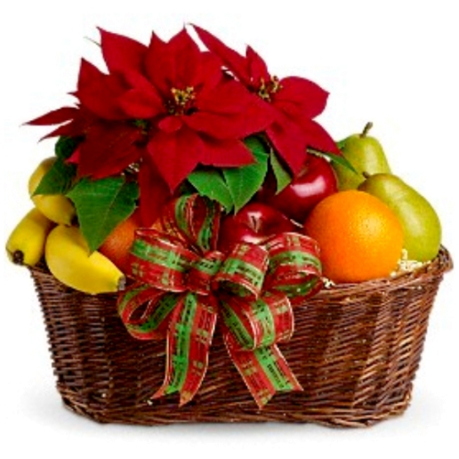 Poinsettia & Fruit Basket