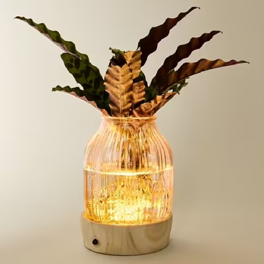 Water Plant Calathea with LED light