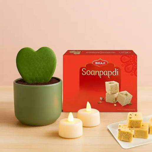 Sweetheart Hoya Plant  Gift Combo