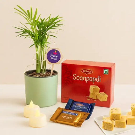 Parlor Palm Plant Diwali Gift Hamper