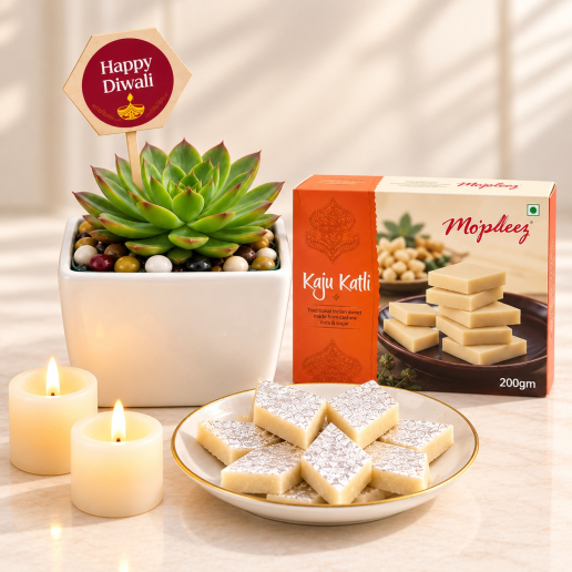 Festive Succulent Pot with Kaju Katli Sweets & Candles