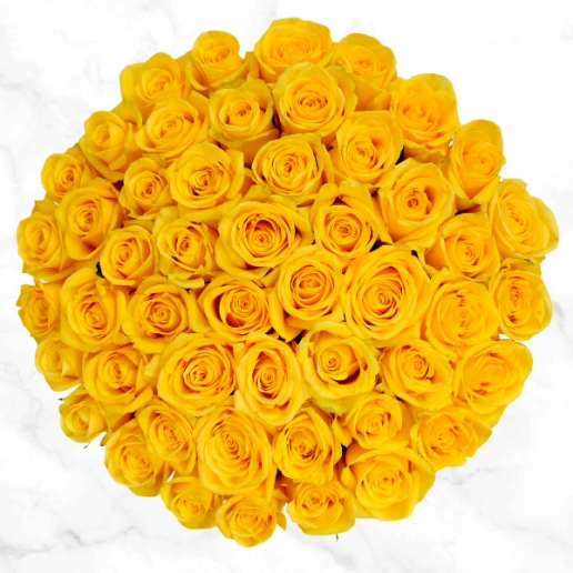 50 Yellow Roses