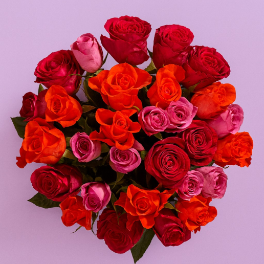 Assorted Roses