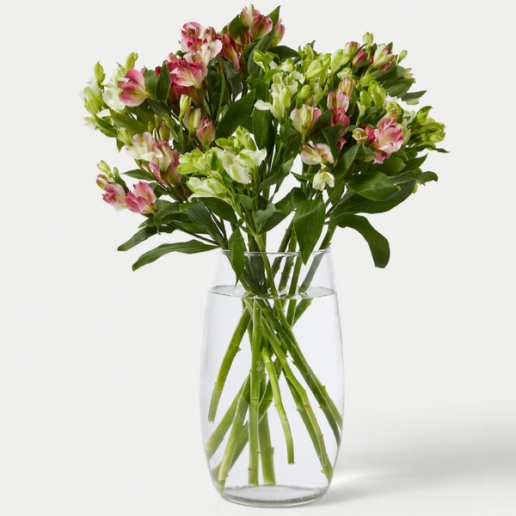 Charmelia Alstroemeria Bouquet