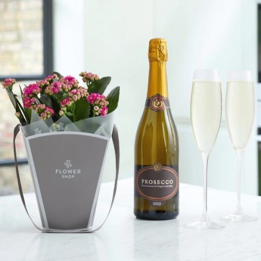Kalanchoe Gift Bag with Prosecco