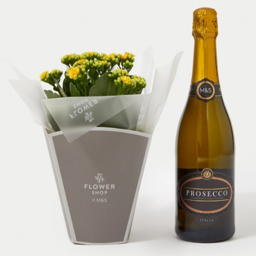 Kalanchoe Gift Bag with Prosecco