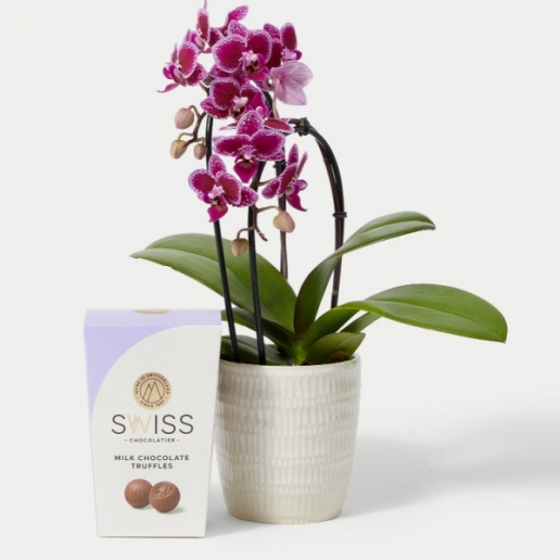 Purple Cascade Orchid Ceramic & Swiss Truffles Bundle