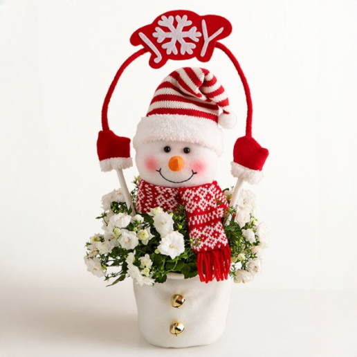 Frosty the Snow Plant