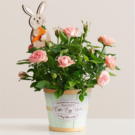 Easter Bunny Blooms