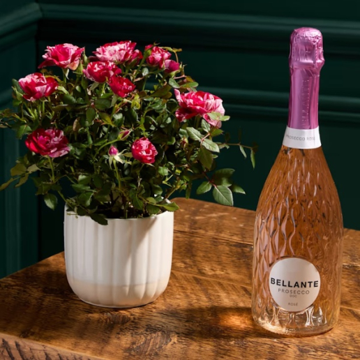 Blooming Brilliant Gift Selection