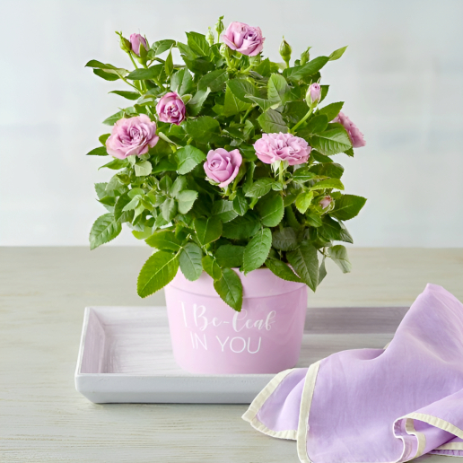 I Be-leaf in You Plant Gift